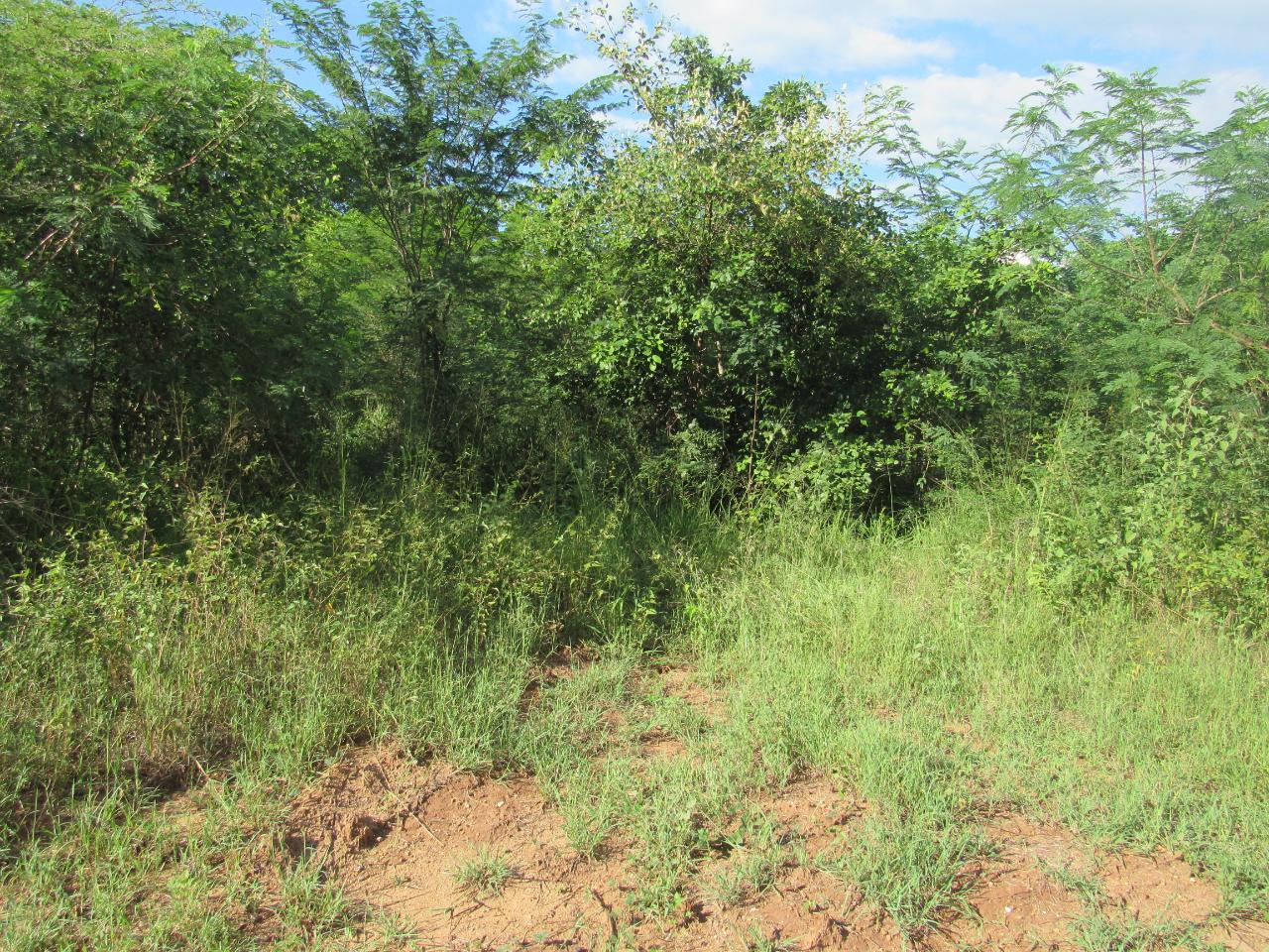 Residential-Lot-for-Sale-in-Green-Park-Clarendon-Jamaica Third image of 12- Part of Green Park in May Pen, Clarendon, Jamaica - property is For Sale