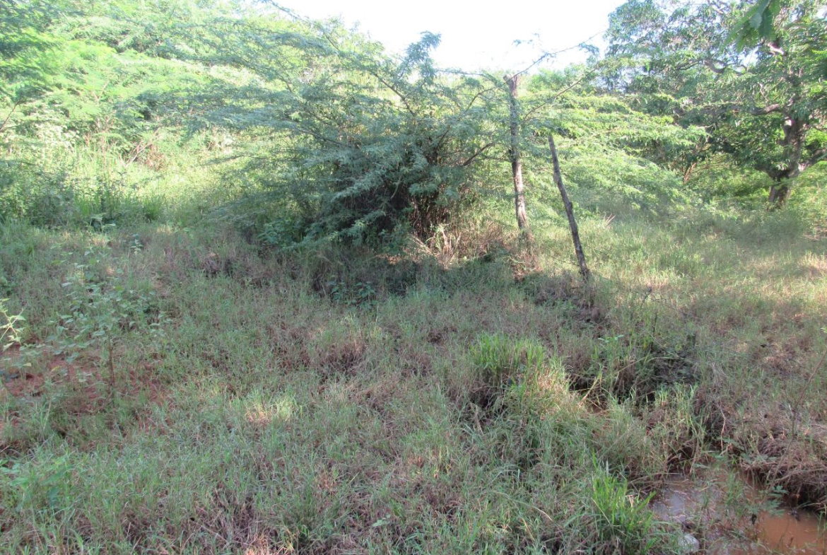 Fourth image of 12- Part of Green Park in May Pen, Clarendon, Jamaica - property is For Sale