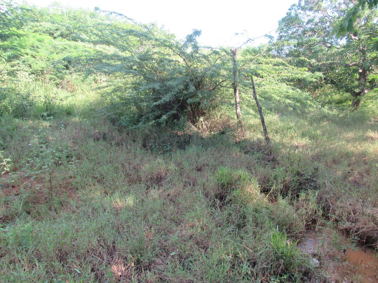 Residential-Lot-for-Sale-in-Green-Park-Clarendon-Jamaica Fourth image of 12- Part of Green Park in May Pen, Clarendon, Jamaica - property is For Sale