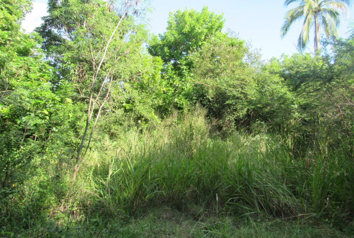 Fifth image of 12- Part of Green Park in May Pen, Clarendon, Jamaica - property is For Sale