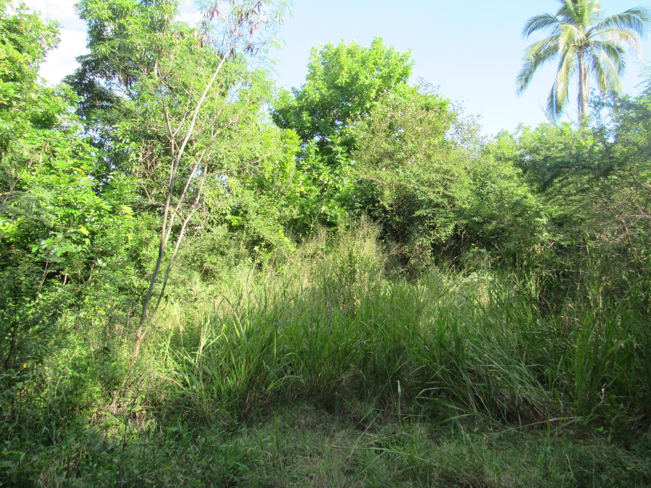 Residential-Lot-for-Sale-in-Green-Park-Clarendon-Jamaica Fifth image of 12- Part of Green Park in May Pen, Clarendon, Jamaica - property is For Sale