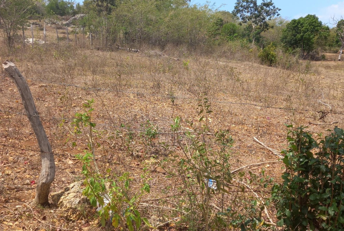 Second image of Lot 7- Greenfield, Fort Charles in Black River, St. Elizabeth, Jamaica - property is For Sale