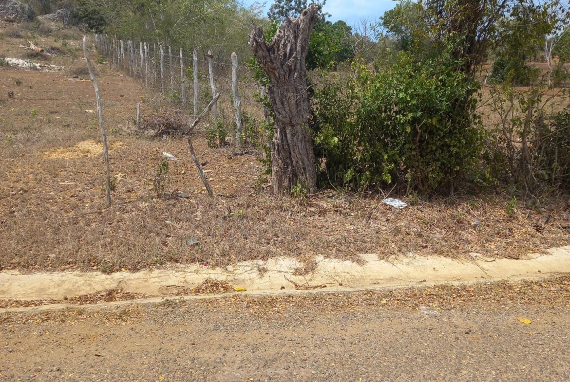 First image of Lot 7- Greenfield, Fort Charles in Black River, St. Elizabeth, Jamaica - property is For Sale