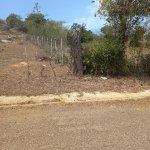 First image of Lot 7- Greenfield, Fort Charles in Black River, St. Elizabeth, Jamaica - property is For Sale