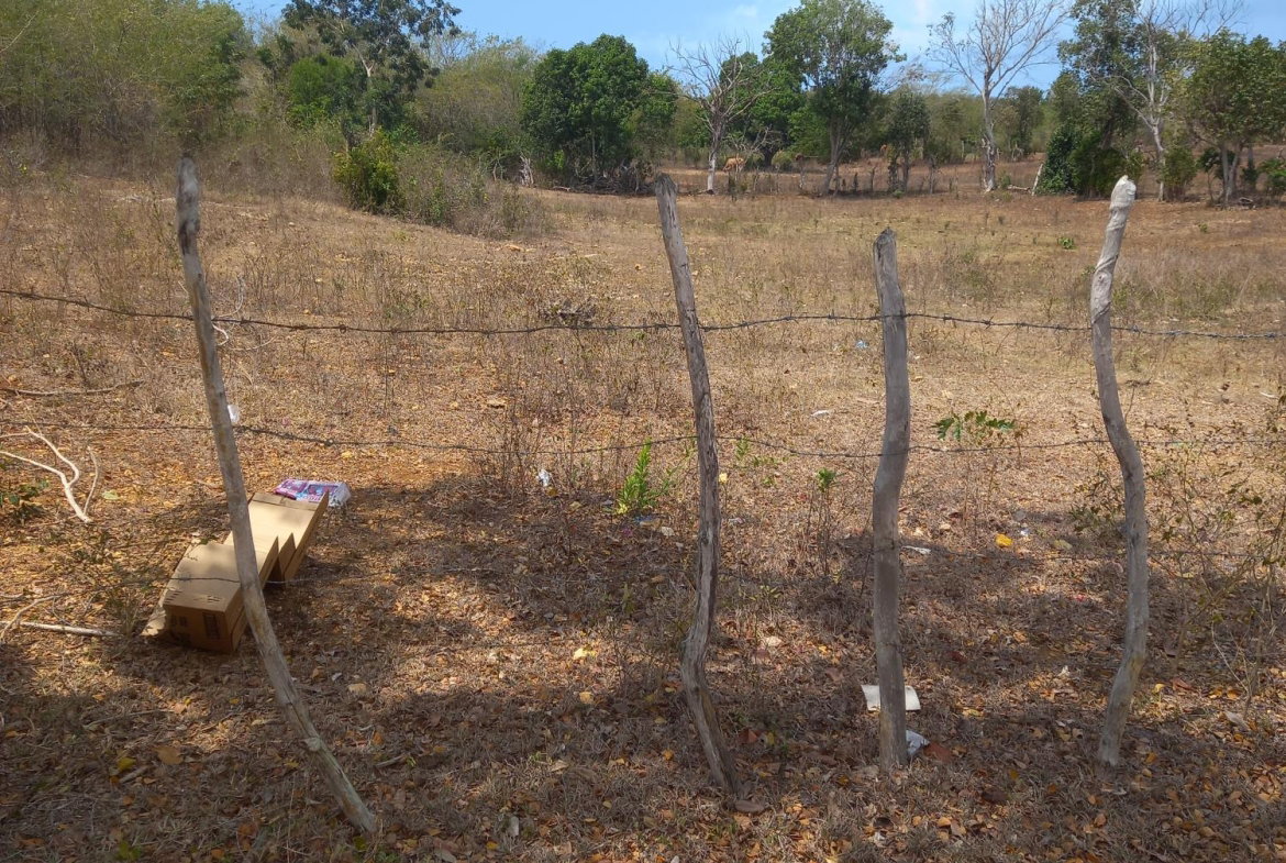 Third image of Lot 7- Greenfield, Fort Charles in Black River, St. Elizabeth, Jamaica - property is For Sale