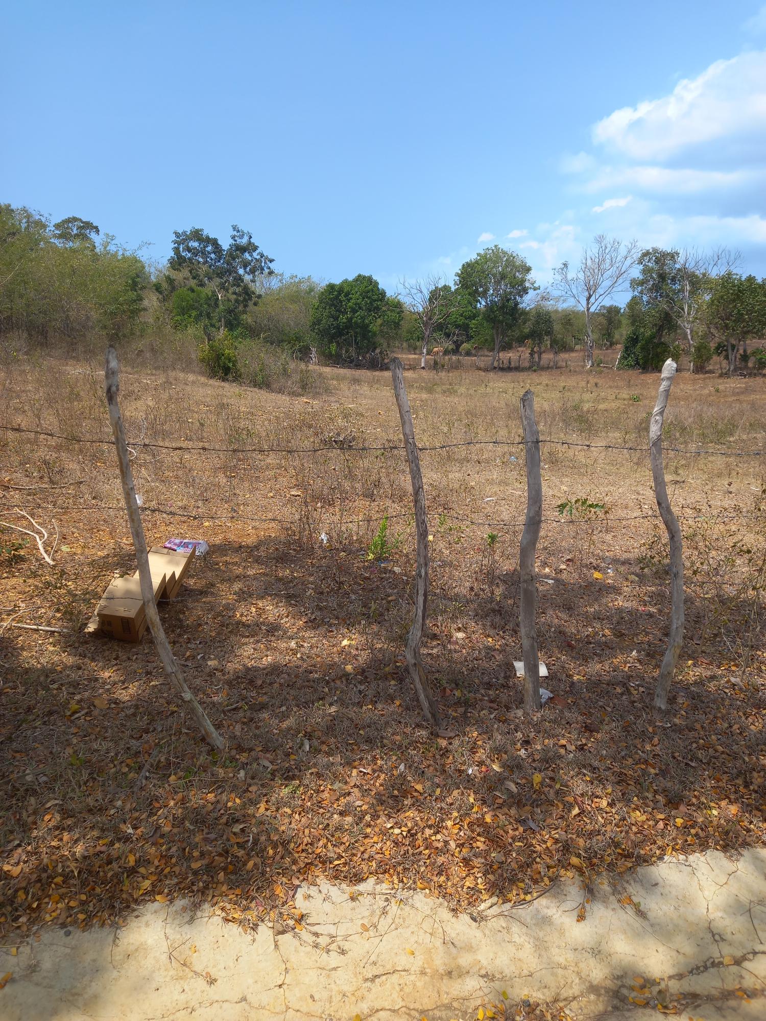 Third image of Lot 7- Greenfield, Fort Charles in Black River, St. Elizabeth, Jamaica - property is For Sale