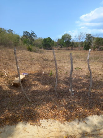 Third image of Lot 7- Greenfield, Fort Charles in Black River, St. Elizabeth, Jamaica - property is For Sale