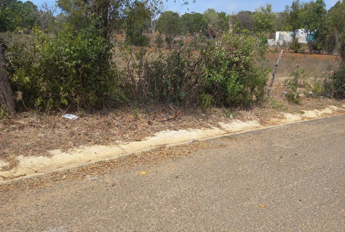 Fourth image of Lot 7- Greenfield, Fort Charles in Black River, St. Elizabeth, Jamaica - property is For Sale