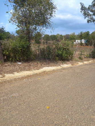 Fourth image of Lot 7- Greenfield, Fort Charles in Black River, St. Elizabeth, Jamaica - property is For Sale