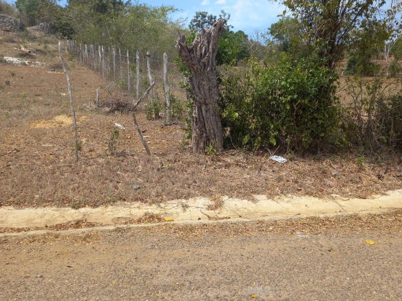 First image of Lot 7- Greenfield, Fort Charles in Black River, St. Elizabeth, Jamaica - property is For Sale