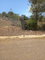 First image of Lot 7- Greenfield, Fort Charles in Black River, St. Elizabeth, Jamaica - property is For Sale