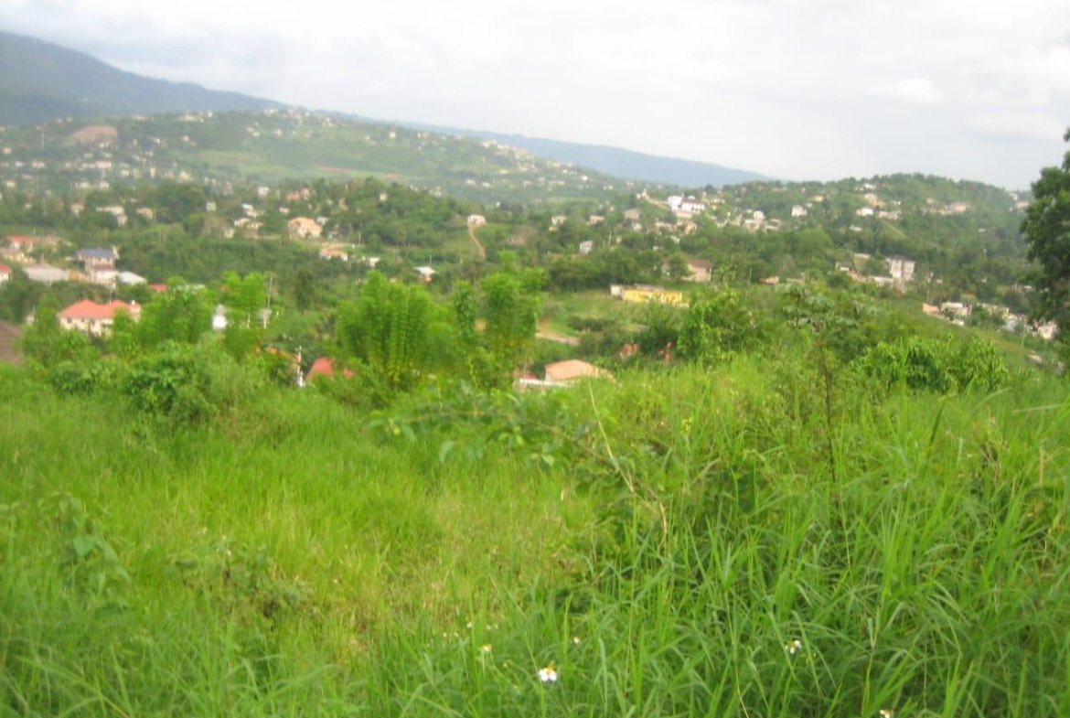 First image of Lot 48 Grey Ground in Grey Ground, Manchester, Jamaica - property is For Sale