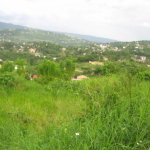 First image of Lot 48 Grey Ground in Grey Ground, Manchester, Jamaica - property is For Sale