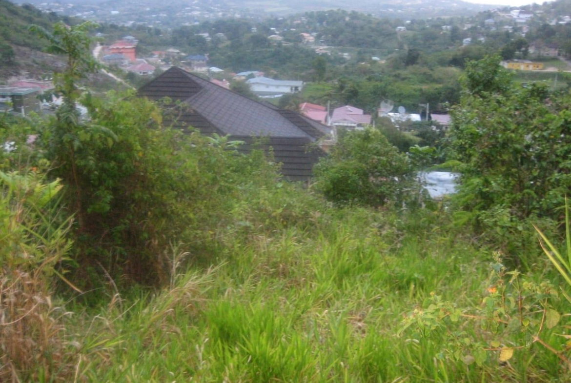 Third image of Lot 48 Grey Ground in Grey Ground, Manchester, Jamaica - property is For Sale