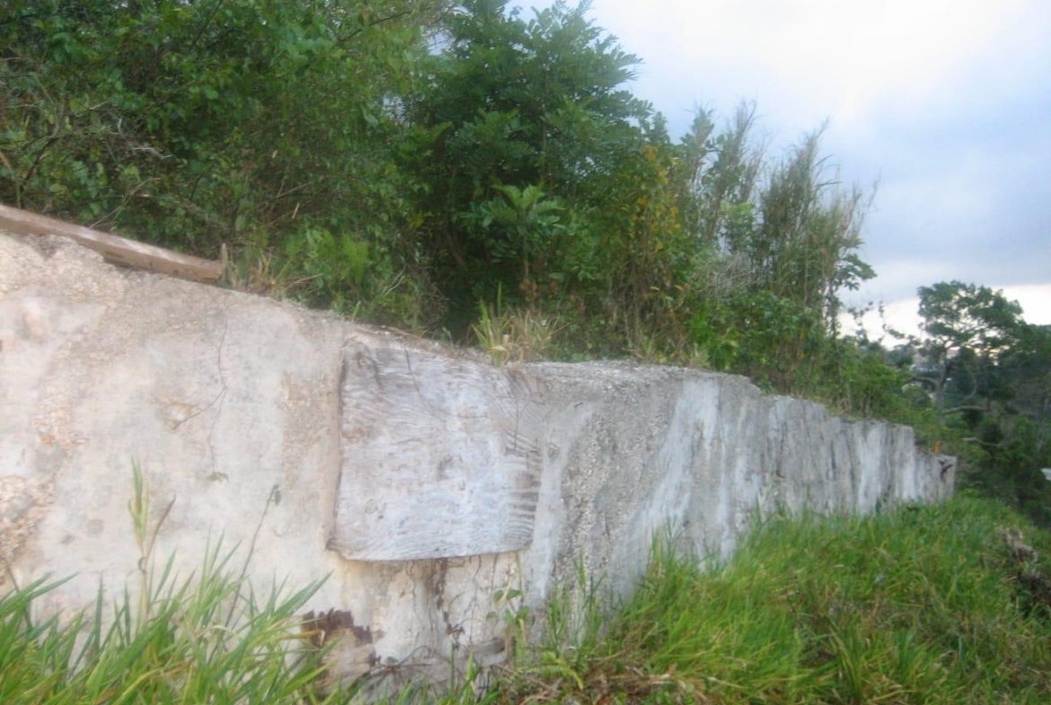 Fourth image of Lot 48 Grey Ground in Grey Ground, Manchester, Jamaica - property is For Sale