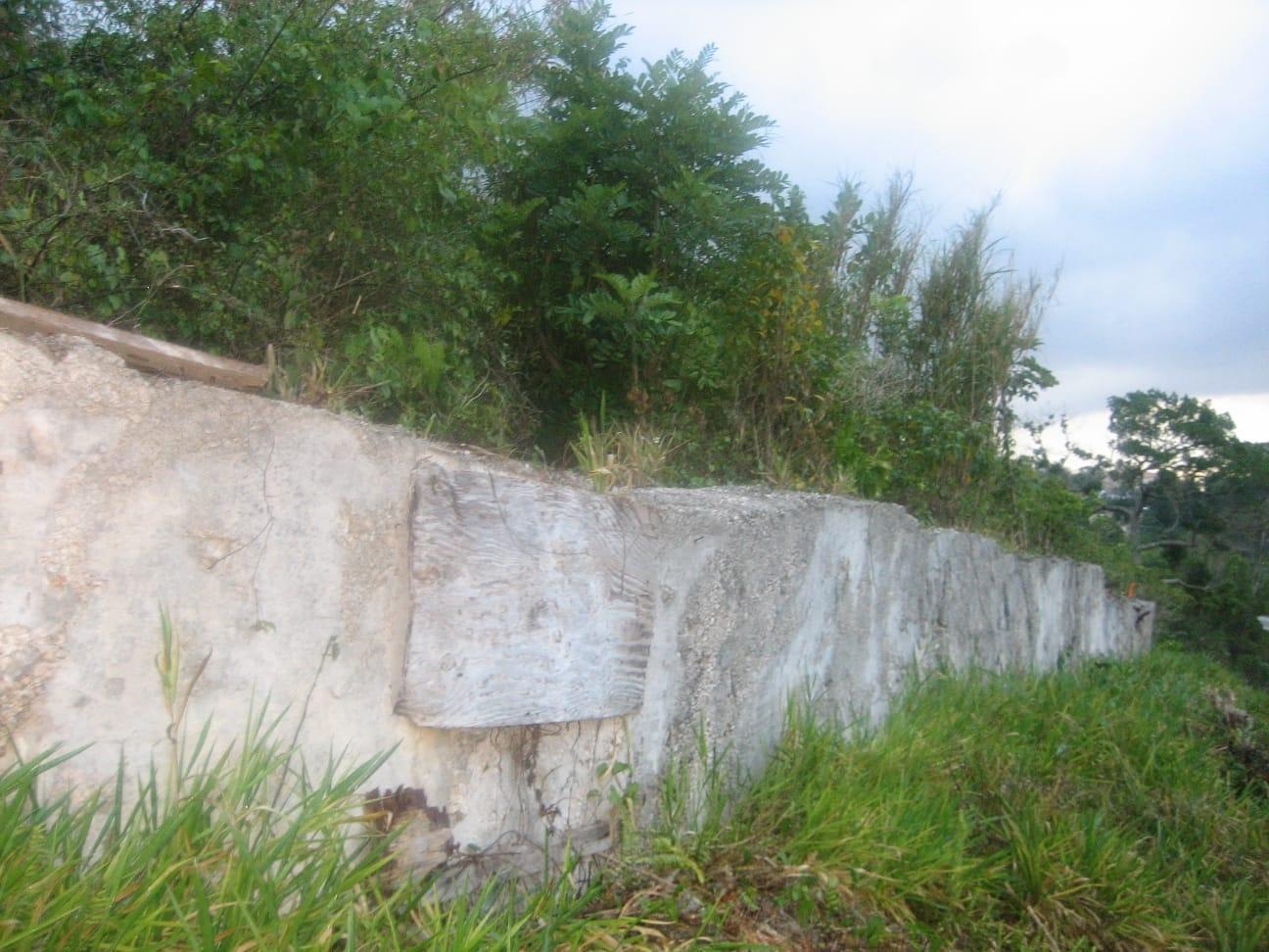 Residential-Lot-for-Sale-in-Grey-Ground-Jamaica-0.28-Acres Fourth image of Lot 48 Grey Ground in Grey Ground, Manchester, Jamaica - property is For Sale