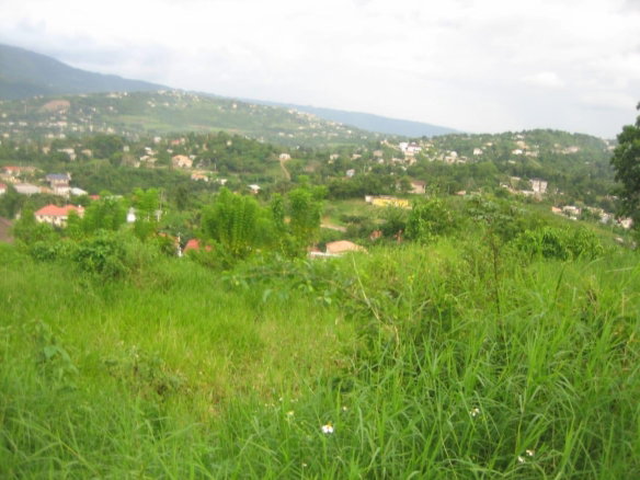 First image of Lot 48 Grey Ground in Grey Ground, Manchester, Jamaica - property is For Sale