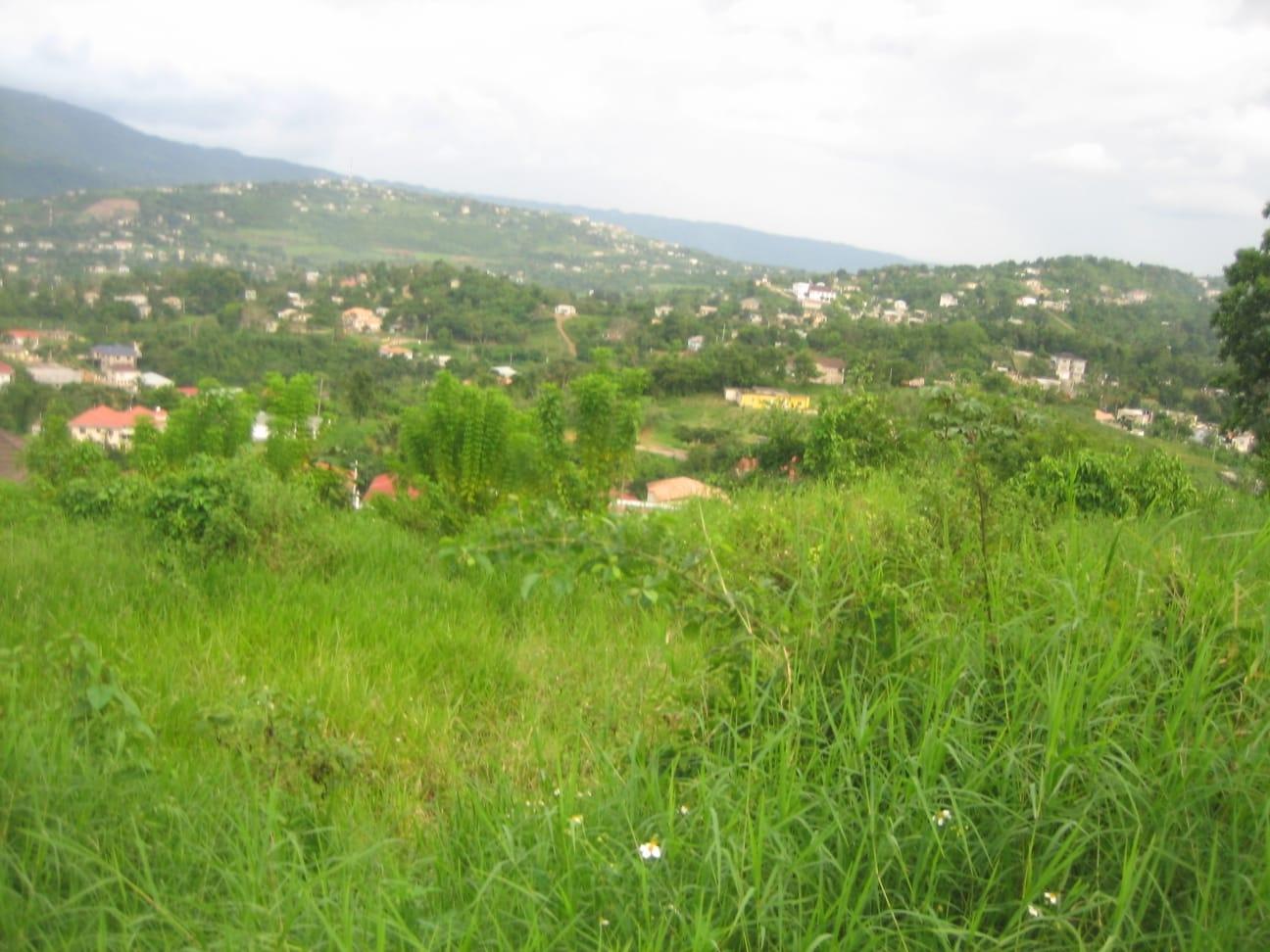Residential-Lot-for-Sale-in-Grey-Ground-Jamaica-0.28-Acres First image of Lot 48 Grey Ground in Grey Ground, Manchester, Jamaica - property is For Sale