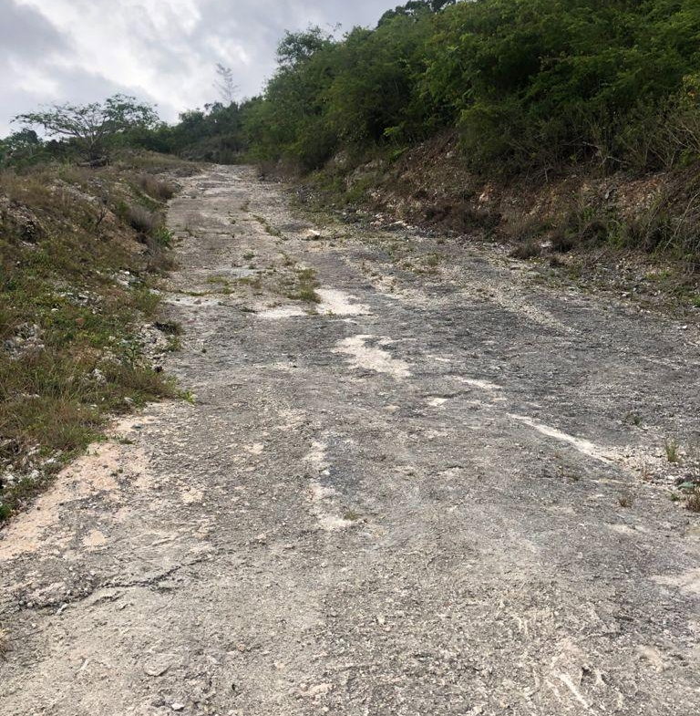 Second image of Lot 44- Grove Mount in Mandeville, Manchester, Jamaica - property is For Sale