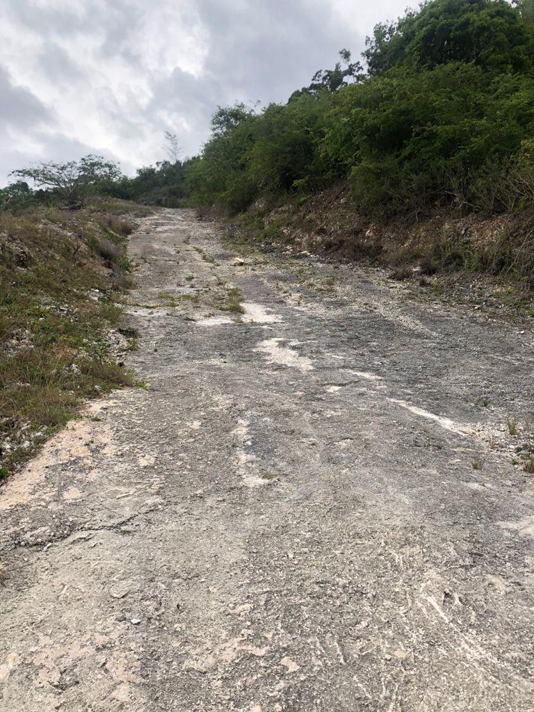 Second image of Lot 44- Grove Mount in Mandeville, Manchester, Jamaica - property is For Sale