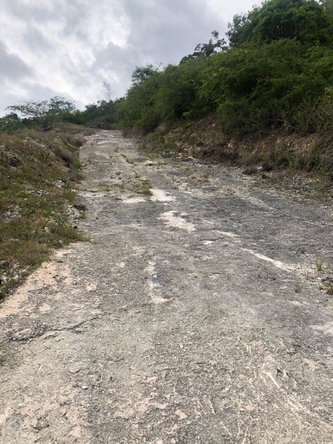 Second image of Lot 44- Grove Mount in Mandeville, Manchester, Jamaica - property is For Sale