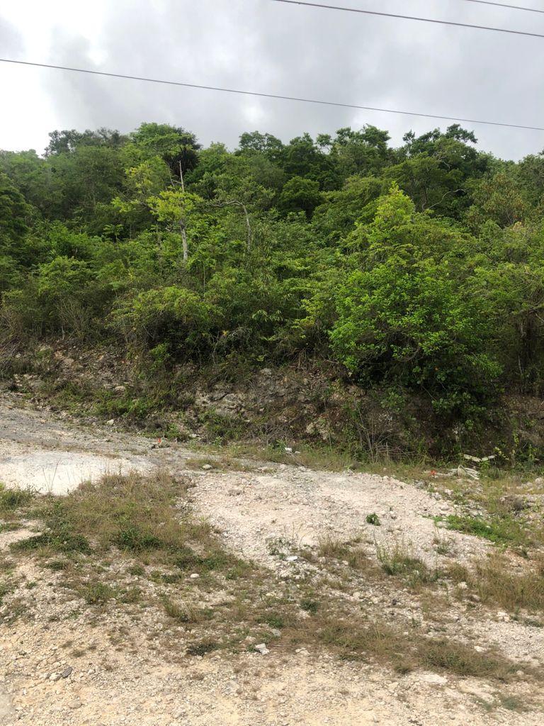 Third image of Lot 44- Grove Mount in Mandeville, Manchester, Jamaica - property is For Sale