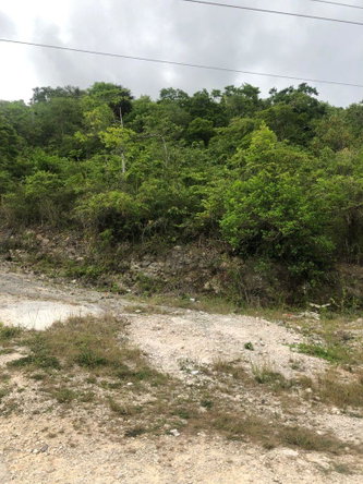 Third image of Lot 44- Grove Mount in Mandeville, Manchester, Jamaica - property is For Sale