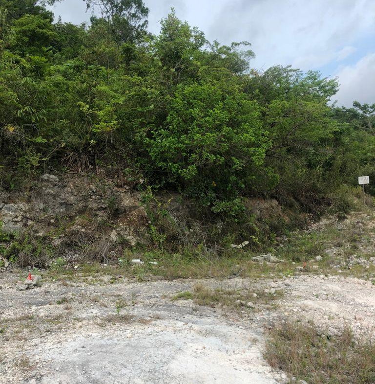 Fourth image of Lot 44- Grove Mount in Mandeville, Manchester, Jamaica - property is For Sale