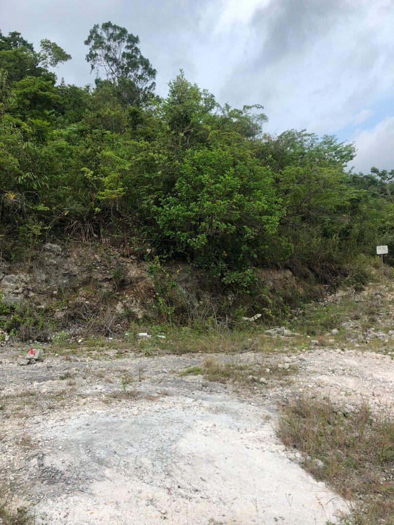 Fourth image of Lot 44- Grove Mount in Mandeville, Manchester, Jamaica - property is For Sale