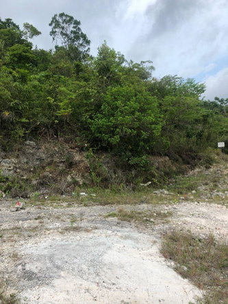 Fourth image of Lot 44- Grove Mount in Mandeville, Manchester, Jamaica - property is For Sale