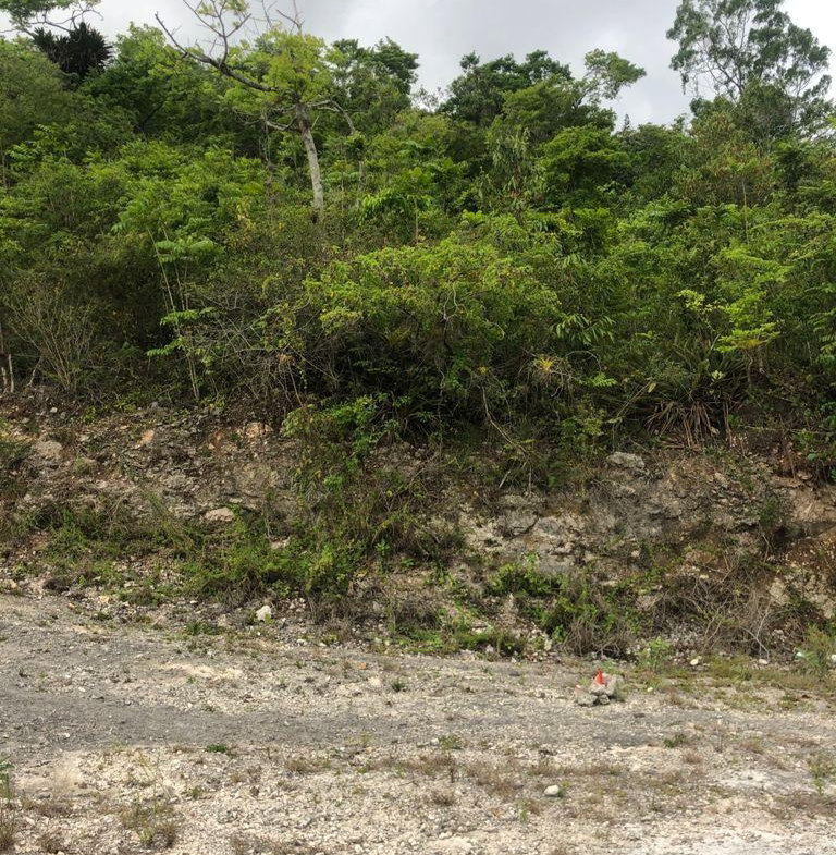 Fifth image of Lot 44- Grove Mount in Mandeville, Manchester, Jamaica - property is For Sale
