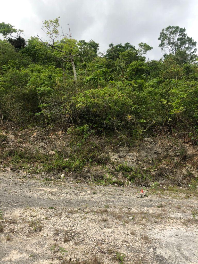 Fifth image of Lot 44- Grove Mount in Mandeville, Manchester, Jamaica - property is For Sale