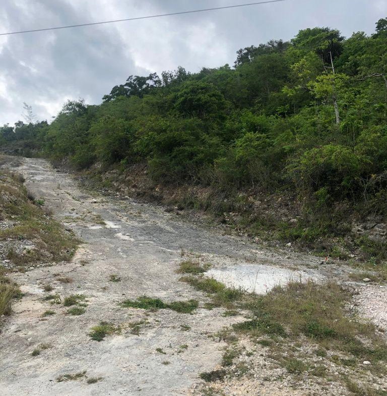Sixth image of Lot 44- Grove Mount in Mandeville, Manchester, Jamaica - property is For Sale