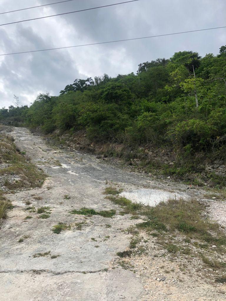 Sixth image of Lot 44- Grove Mount in Mandeville, Manchester, Jamaica - property is For Sale