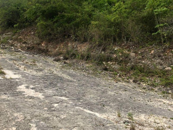 First image of Lot 44- Grove Mount in Mandeville, Manchester, Jamaica - property is For Sale