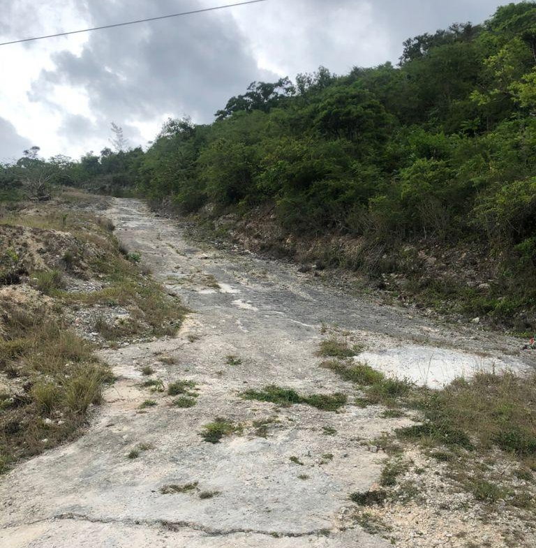 Seventh image of Lot 44- Grove Mount in Mandeville, Manchester, Jamaica - property is For Sale