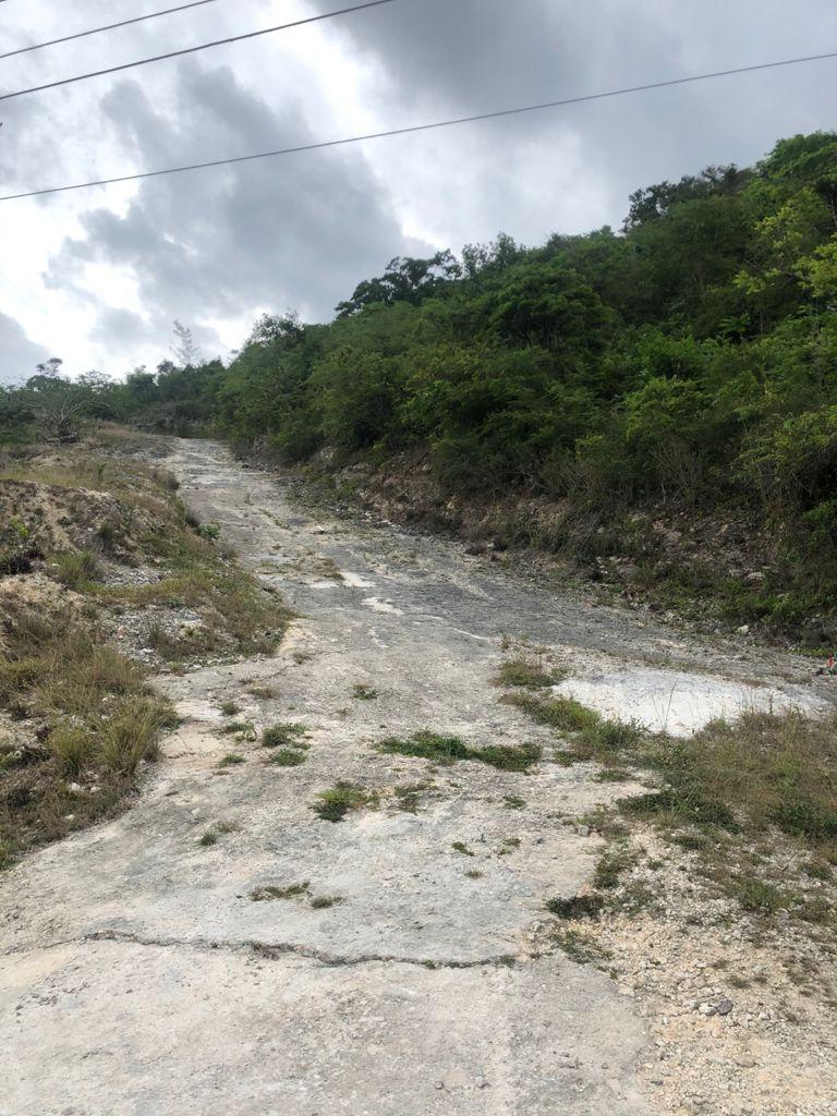 Seventh image of Lot 44- Grove Mount in Mandeville, Manchester, Jamaica - property is For Sale