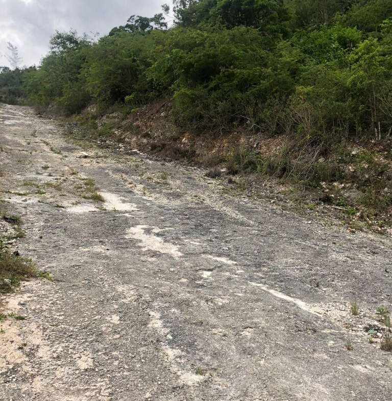 Eighth image of Lot 44- Grove Mount in Mandeville, Manchester, Jamaica - property is For Sale