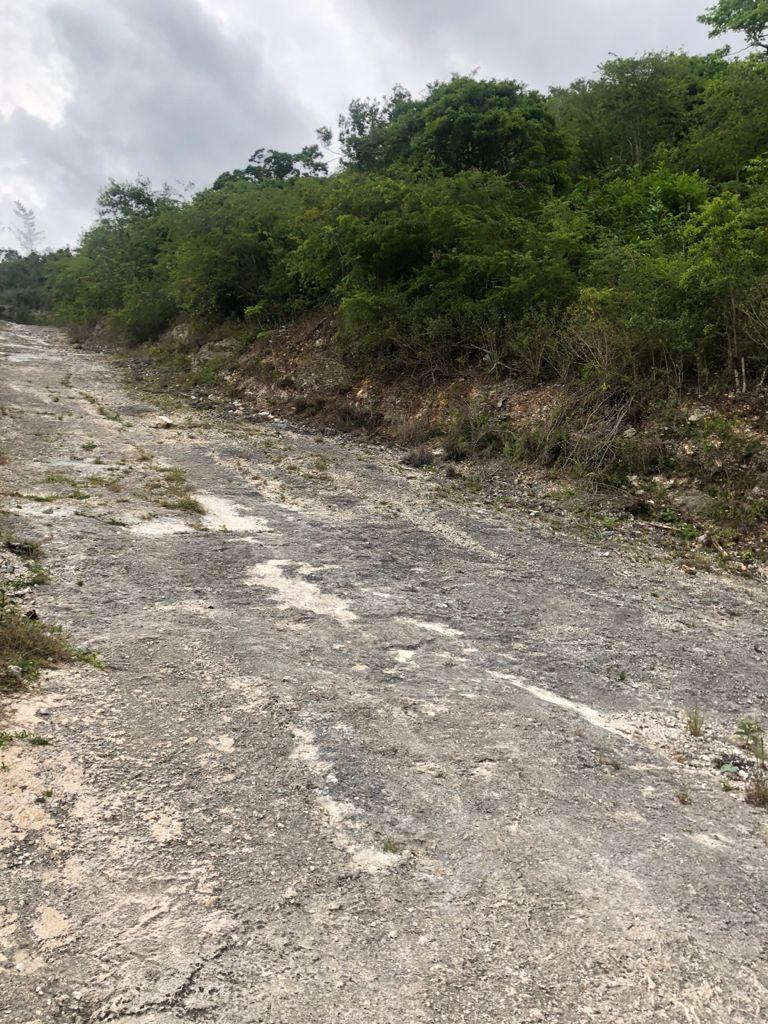 Eighth image of Lot 44- Grove Mount in Mandeville, Manchester, Jamaica - property is For Sale
