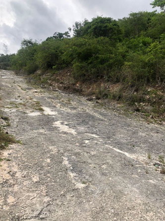 Eighth image of Lot 44- Grove Mount in Mandeville, Manchester, Jamaica - property is For Sale