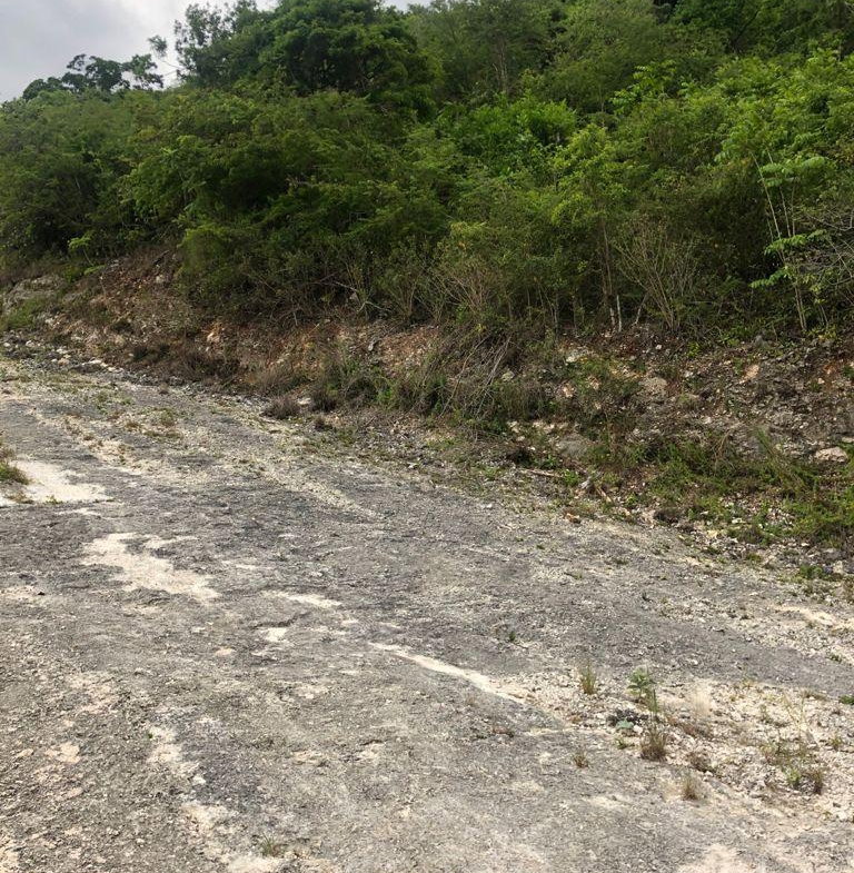First image of Lot 44- Grove Mount in Mandeville, Manchester, Jamaica - property is For Sale