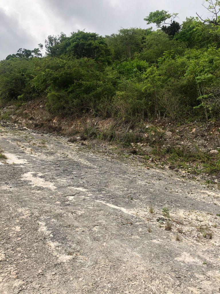 First image of Lot 44- Grove Mount in Mandeville, Manchester, Jamaica - property is For Sale