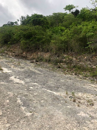 First image of Lot 44- Grove Mount in Mandeville, Manchester, Jamaica - property is For Sale