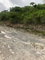 First image of Lot 44- Grove Mount in Mandeville, Manchester, Jamaica - property is For Sale
