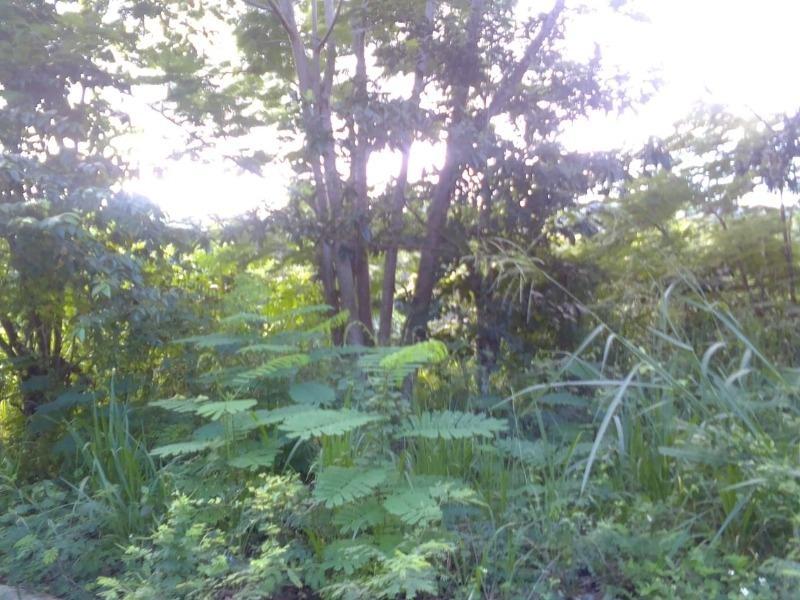 Third image of Mccreary in McQuarrie, Hanover, Jamaica - property is For Sale