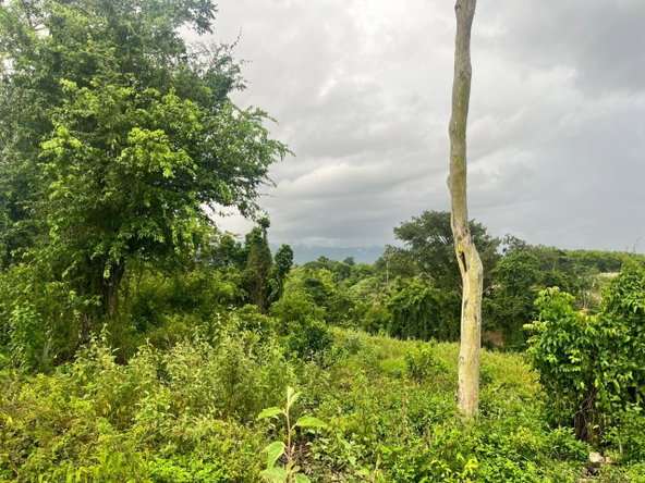 Second image of Haughton, Lacovia in Lacovia, St. Elizabeth, Jamaica - property is For Sale