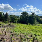 First image of Haughton, Lacovia in Lacovia, St. Elizabeth, Jamaica - property is For Sale