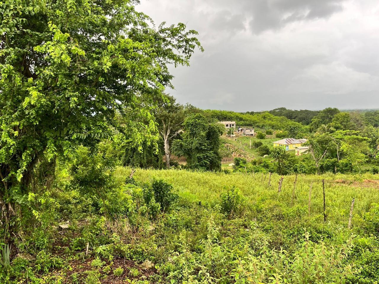 Third image of Haughton, Lacovia in Lacovia, St. Elizabeth, Jamaica - property is For Sale