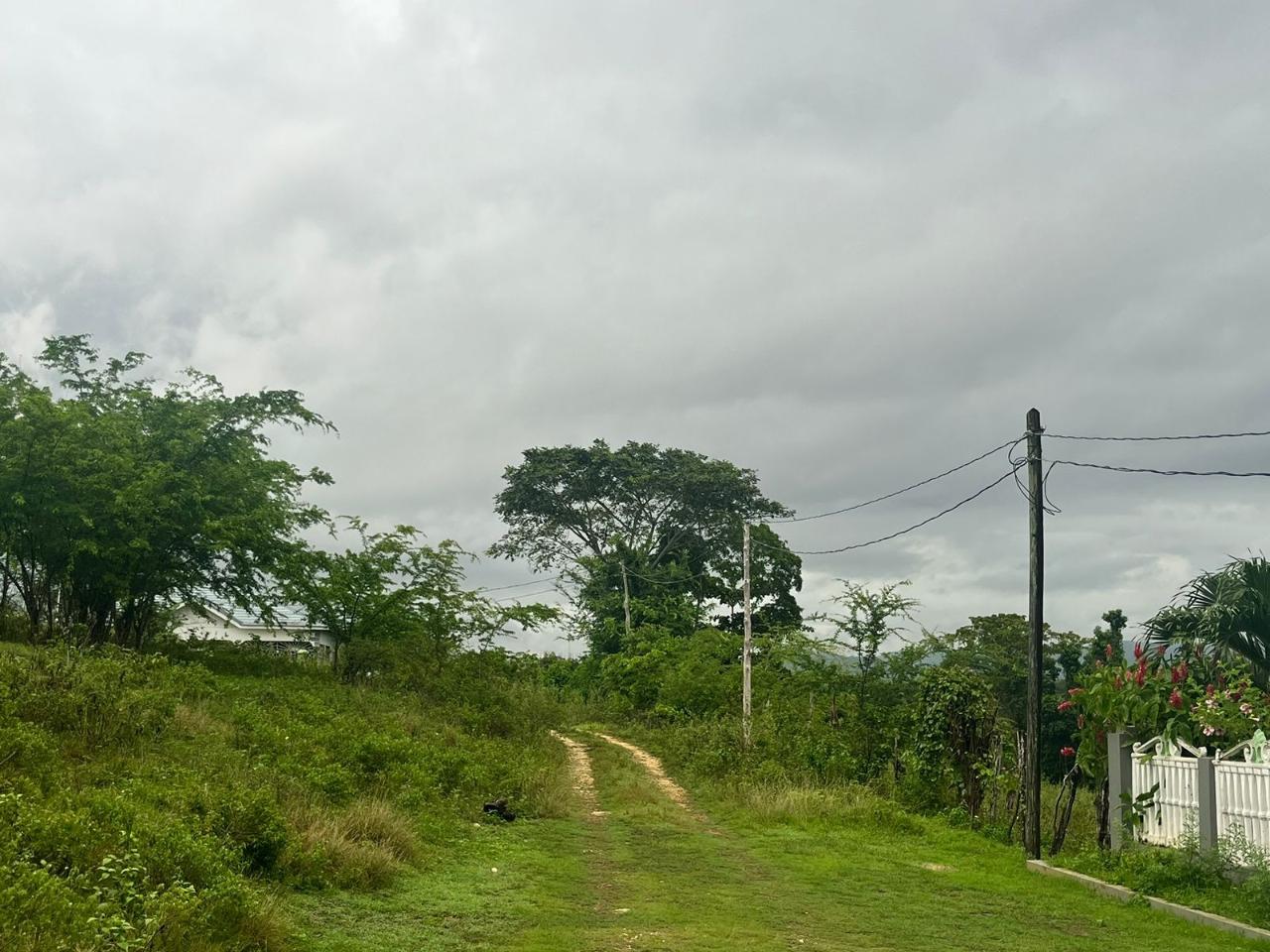 Fourth image of Haughton, Lacovia in Lacovia, St. Elizabeth, Jamaica - property is For Sale