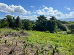 First image of Haughton, Lacovia in Lacovia, St. Elizabeth, Jamaica - property is For Sale
